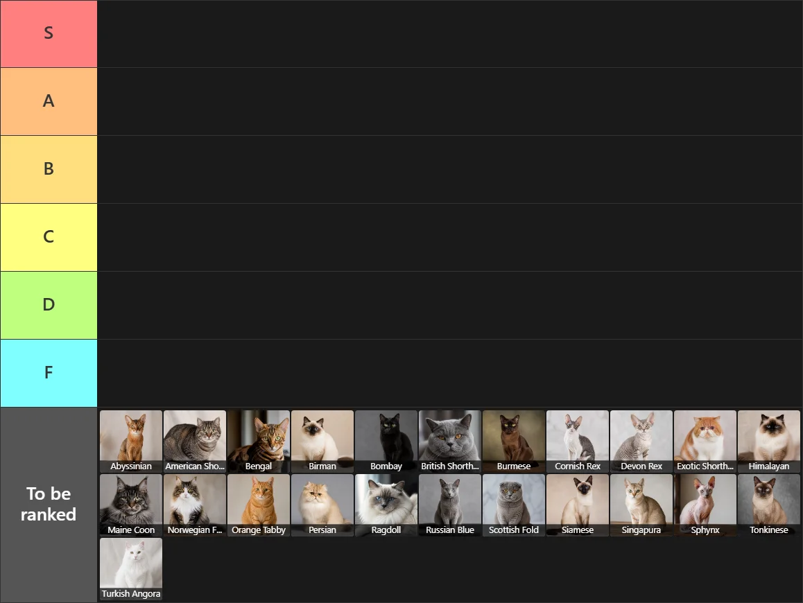 Cat Breeds Tier List: Tier List with 6 tiers, S