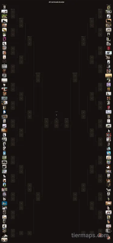 All Cat Breeds Bracket