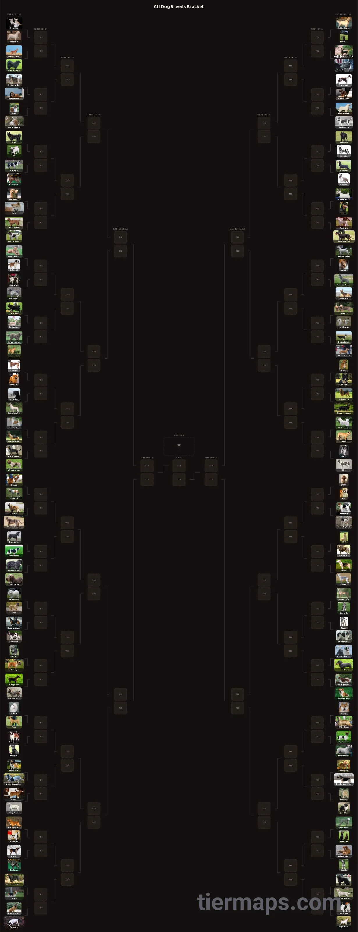 All Dog Breeds Bracket: Bracket with 128 entries, Entries: Chihuahua, Golden Retriever, poodle
