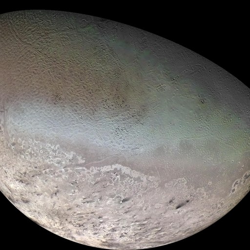 Triton