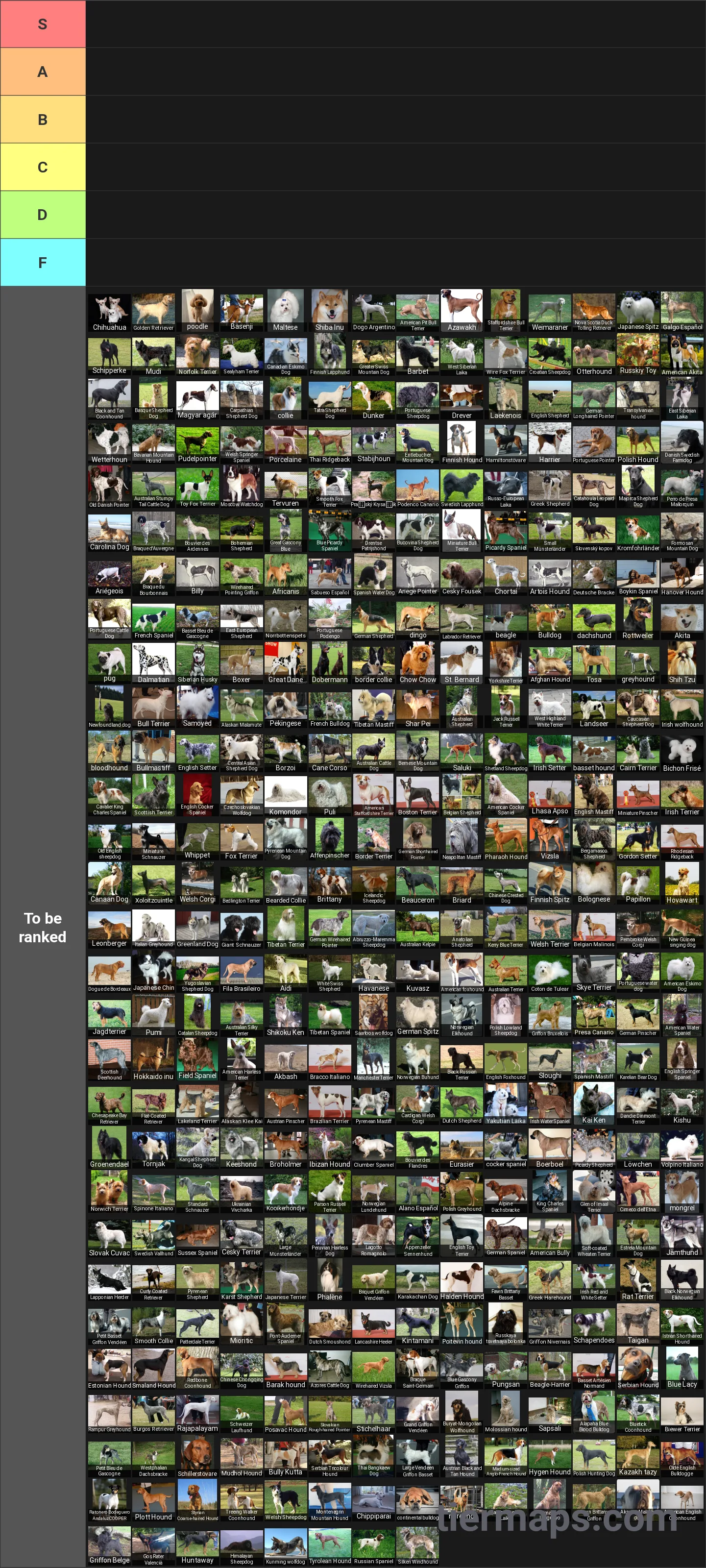 All Dog Breeds Tier List: Tier List with 6 tiers, S